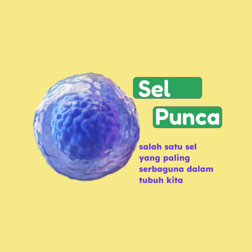 Sel Punca