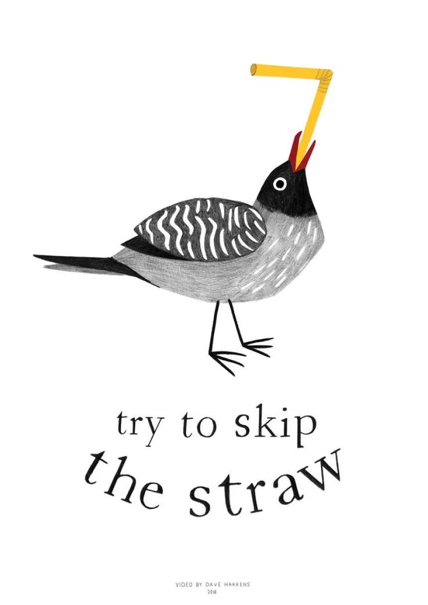 Stainless Steel Straw