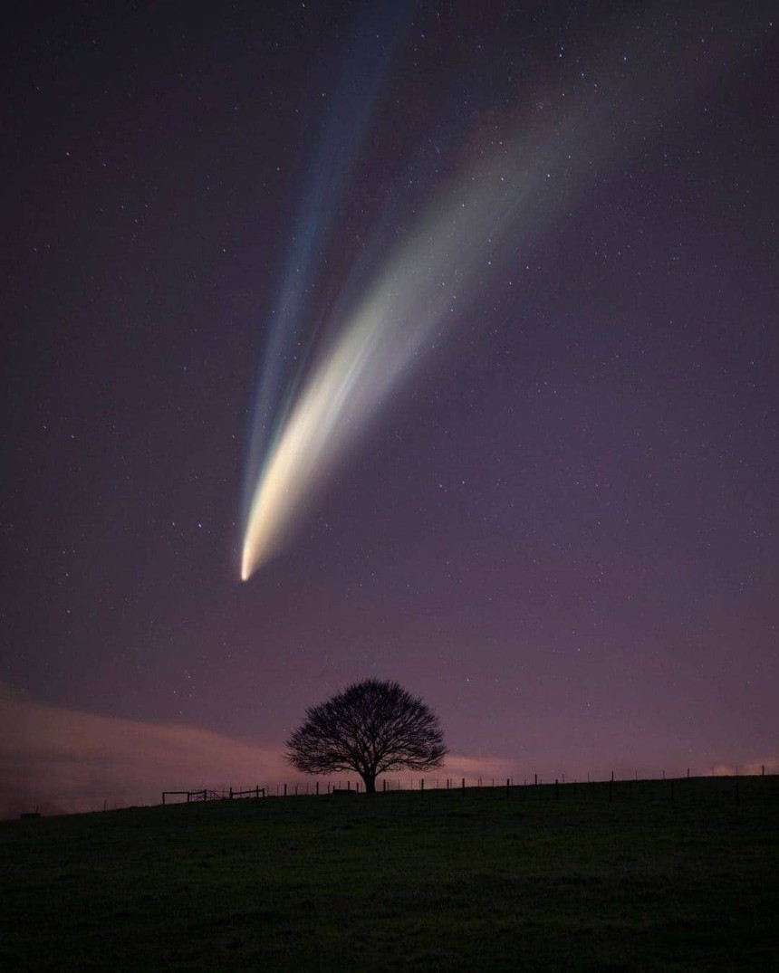 Apa itu Komet Halley?