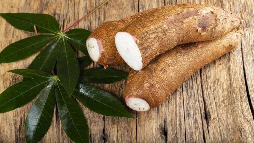 Analisis Potensi Singkong sebagai Bahan Pangan Alternatif Pengganti Nasi