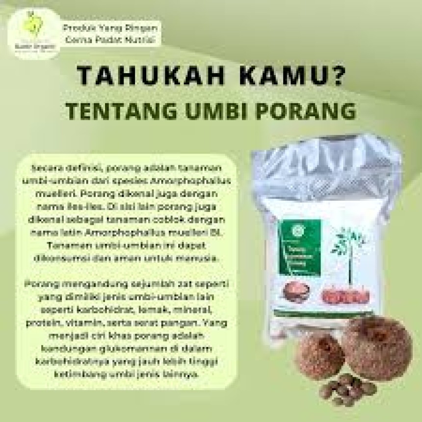 Porang: Umbi Ajaib Kaya Manfaat