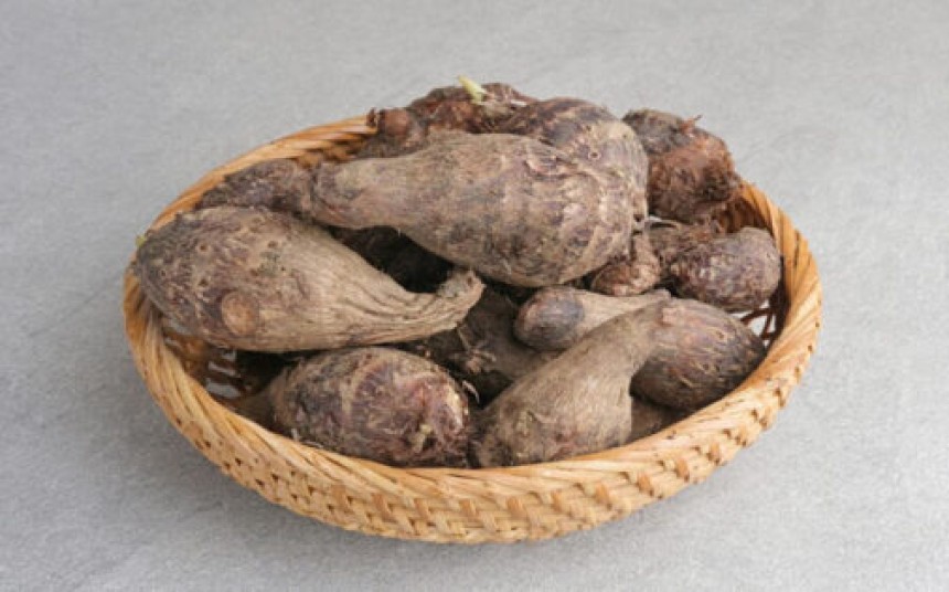 Kimpul: Solusi Pangan Lokal untuk Mengurangi Ketergantungan Beras di Indonesia